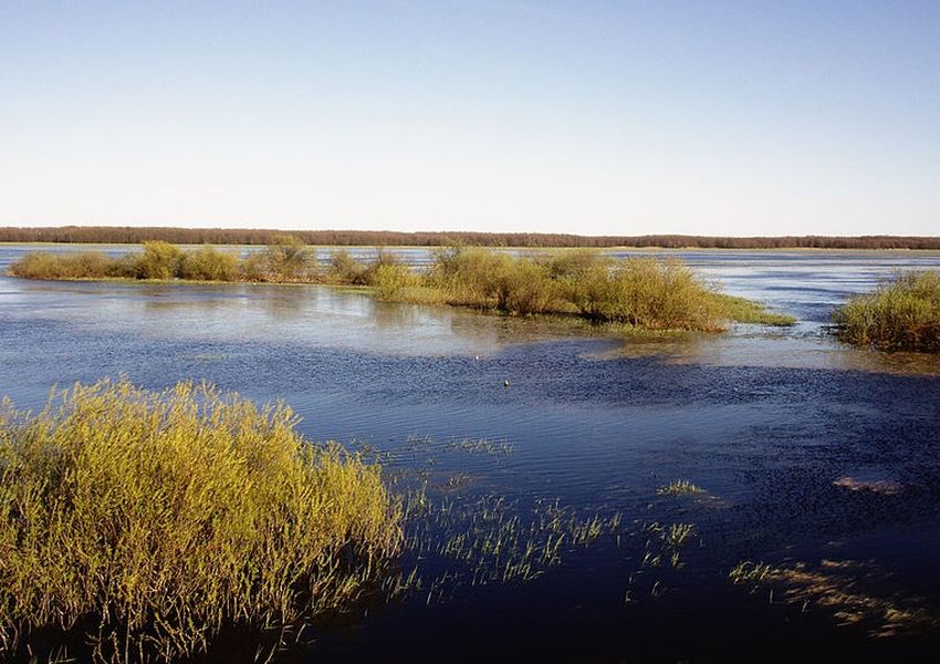 narew850