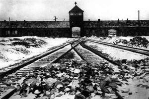 Auschwitz3